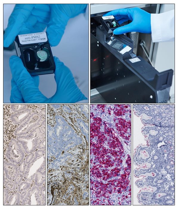 Tissue-Tek Genie<sup>&reg;</sup> Advanced Staining Reagents